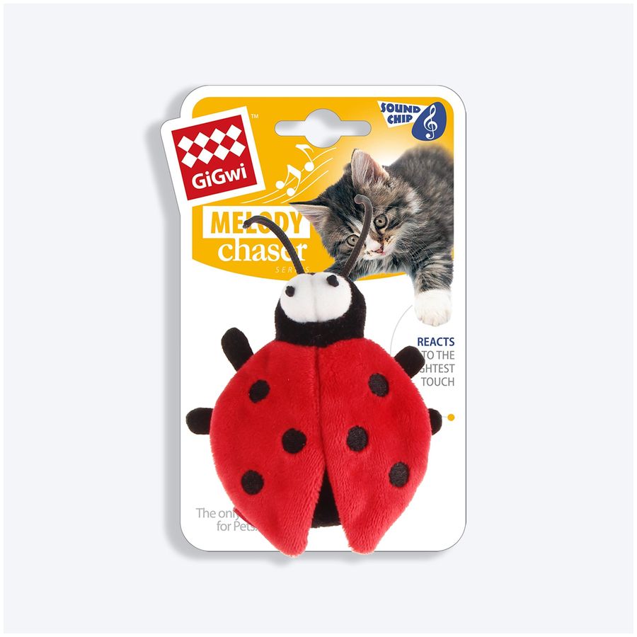 GiGwi Melody Chaser Beetle