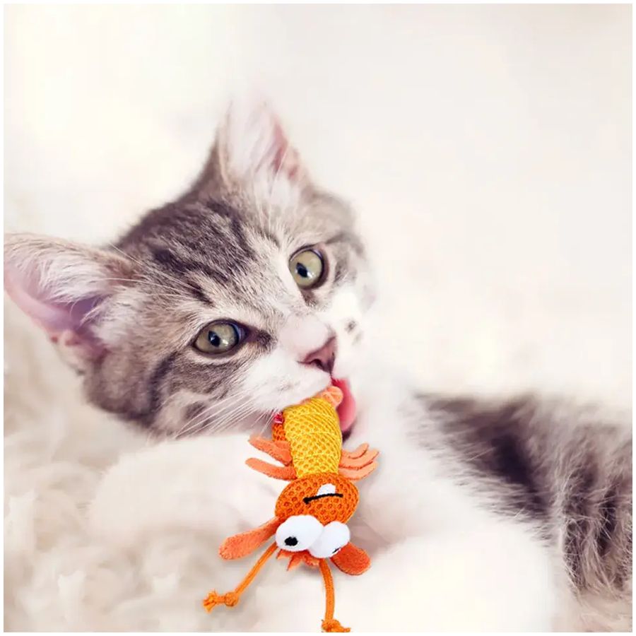 Gigwi Dental Mesh with Catnip Shrimp