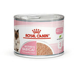 Royal Canin Mother & Babycat Mousse Cat Wet Food 195g