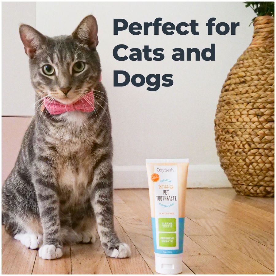 Oxyfresh Premium Pet Toothpaste 4oz