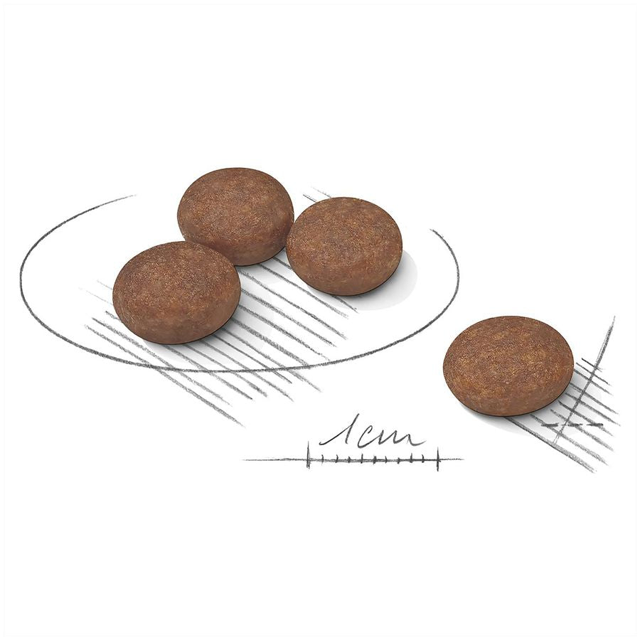 Royal Canin Digestive Care Mini Adult Dog Dry Food 3kg