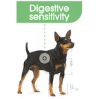 Royal Canin Digestive Care Mini Adult Dog Dry Food 3kg