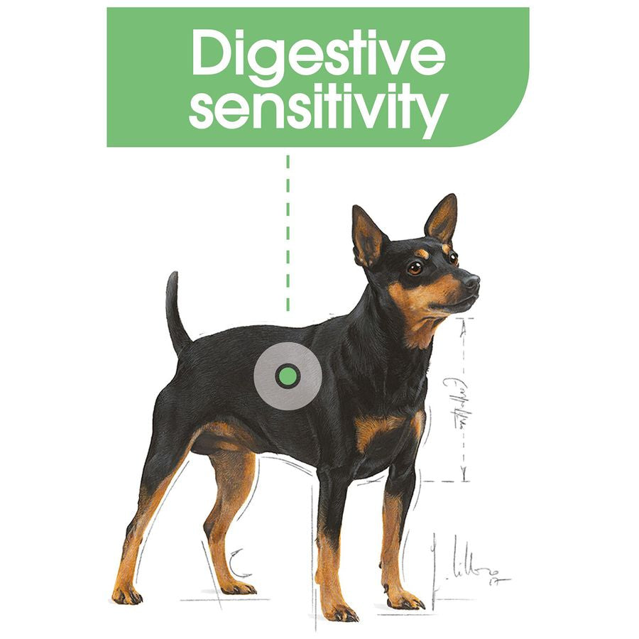 Royal Canin Digestive Care Mini Adult Dog Dry Food 3kg