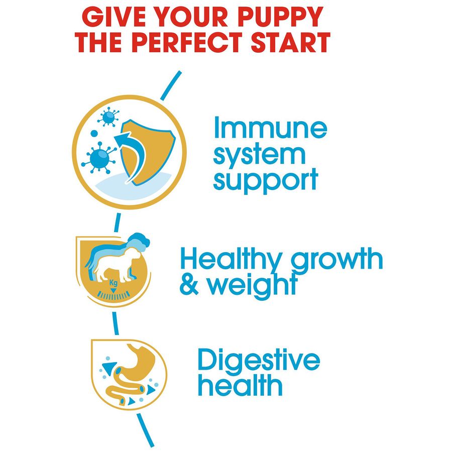 Royal Canin Labrador Retriever Puppy Dry Food 12kg