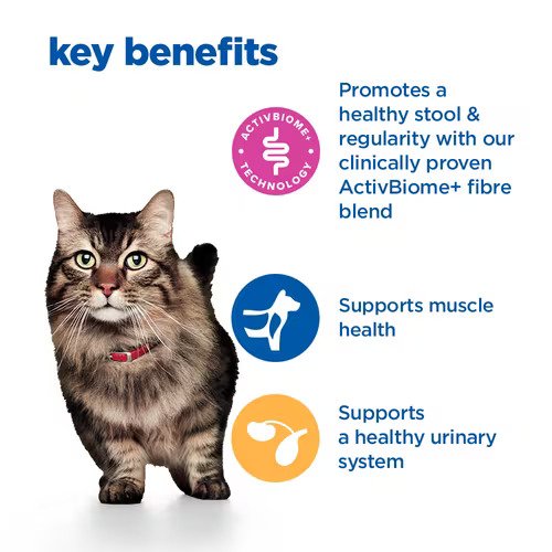Hill's Vet Essentials Multi-Benefit + Digestive Adult Cat Salmon 1.5kg