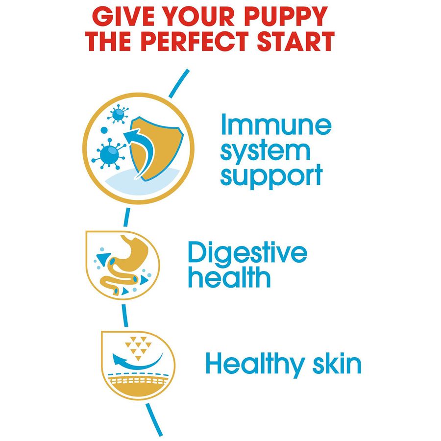 Royal Canin French Bulldog Puppy Dry Food 3kg