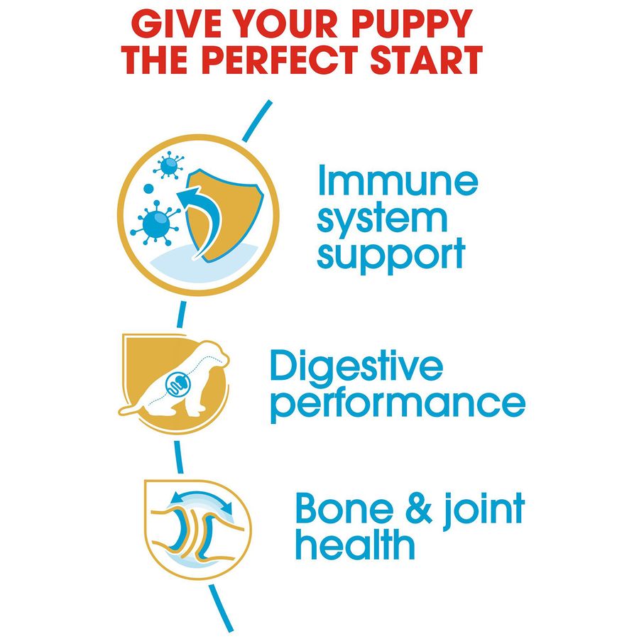 Royal Canin German Shepherd Puppy Dry Food 12kg