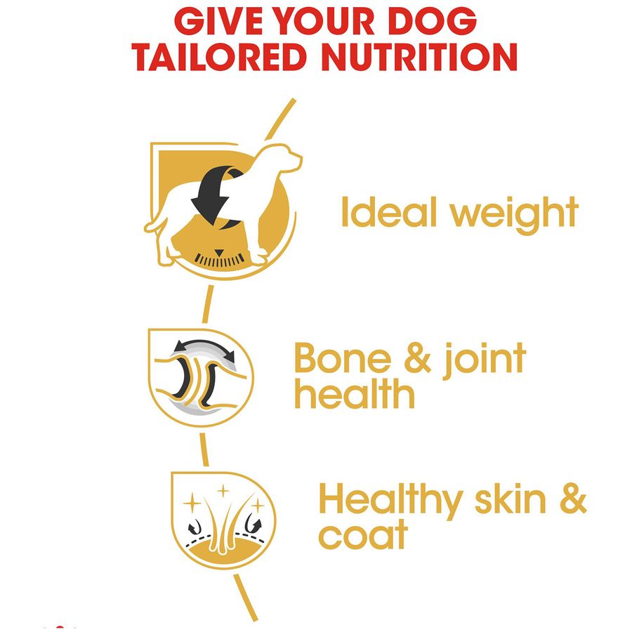 Royal Canin Labrador Adult Dog Dry Food 12kg