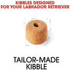 Royal Canin Labrador Adult Dog Dry Food 3kg