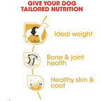 Royal Canin Labrador Adult Dog Dry Food 3kg