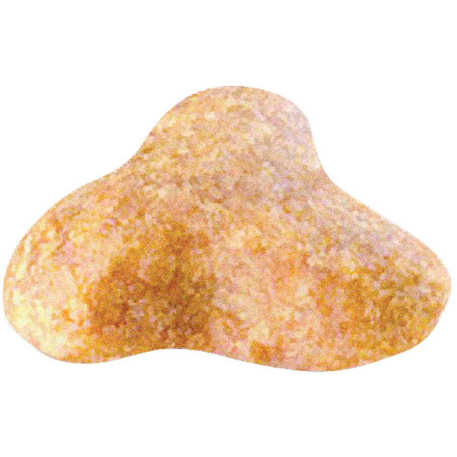 Royal Canin Pug Adult Dog Dry Food 7.5kg