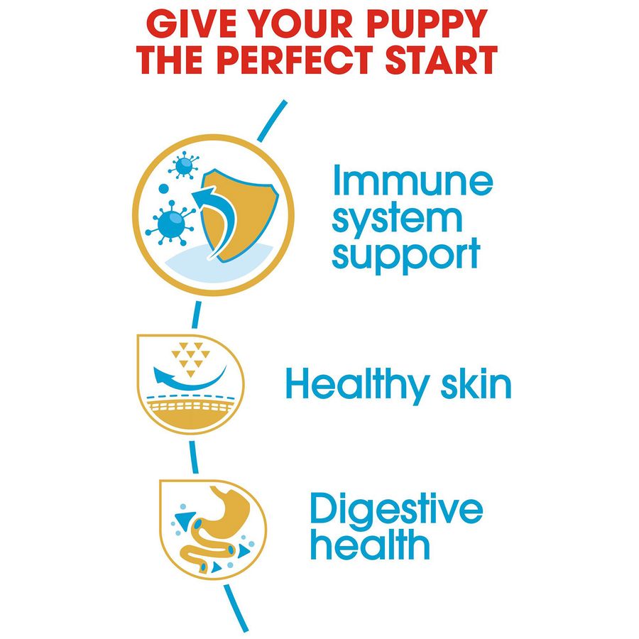 Royal Canin Pug Puppy Dry Food 1.5kg