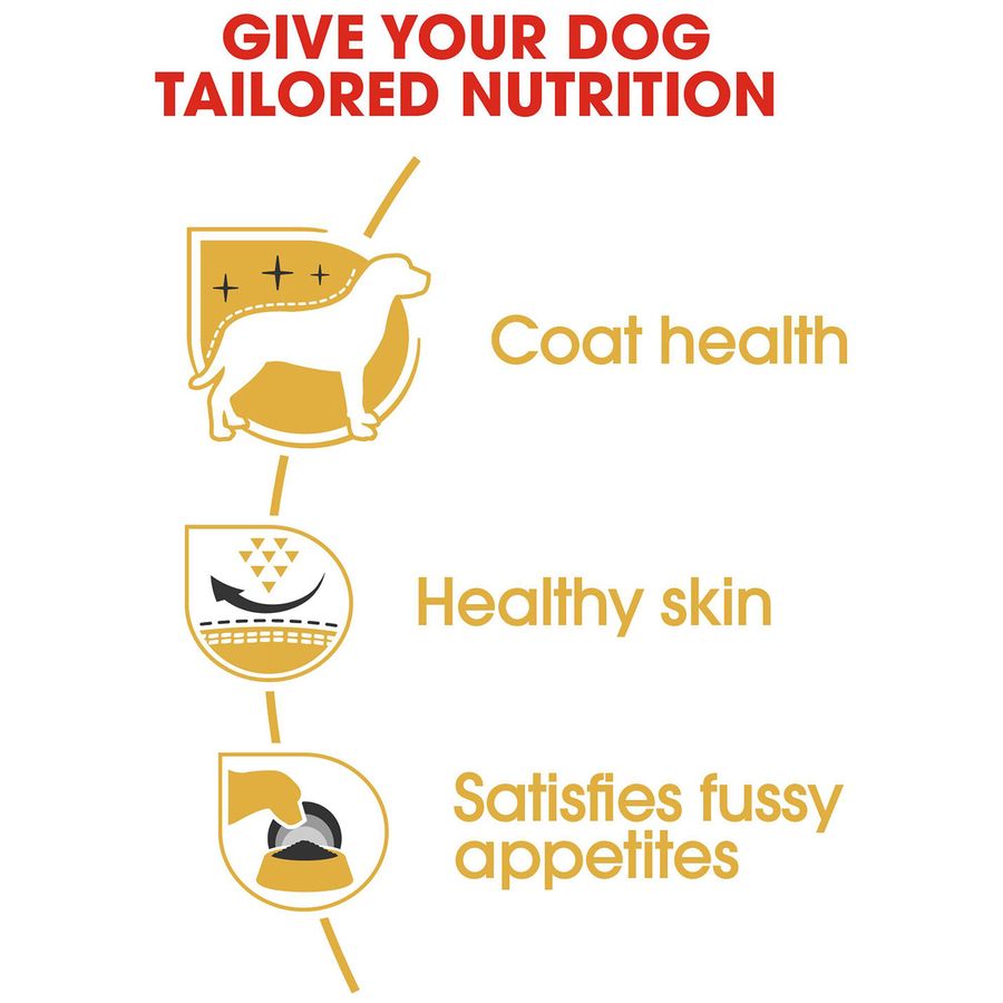 Royal Canin Westie Adult Dog Dry Food 3kg