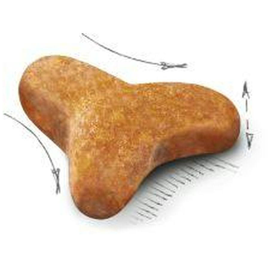 Royal Canin Bengal Adult Cat Dry Food 2kg