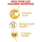 Royal Canin British Shorthair Adult Cat Dry Food 4kg