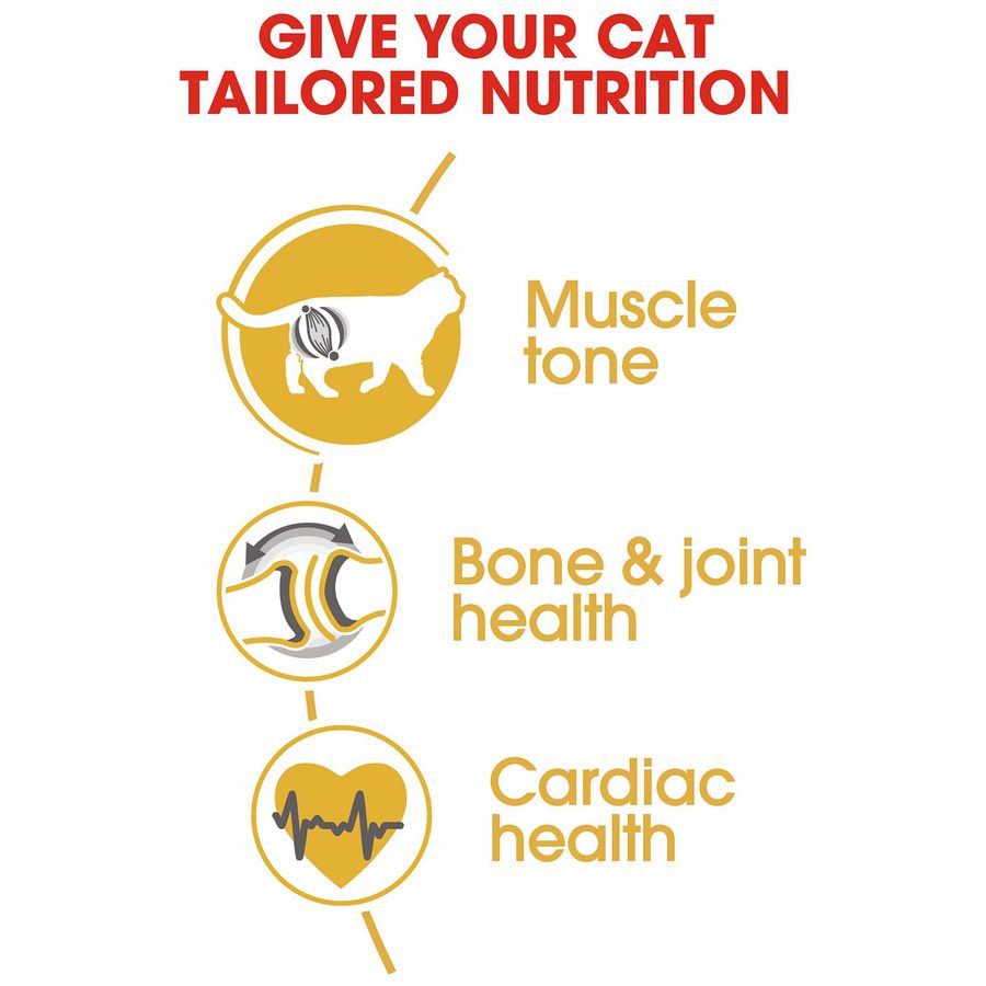 Royal Canin British Shorthair Adult Cat Dry Food 4kg