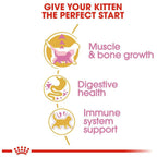 Royal Canin British Shorthair Kitten Dry Food 2kg