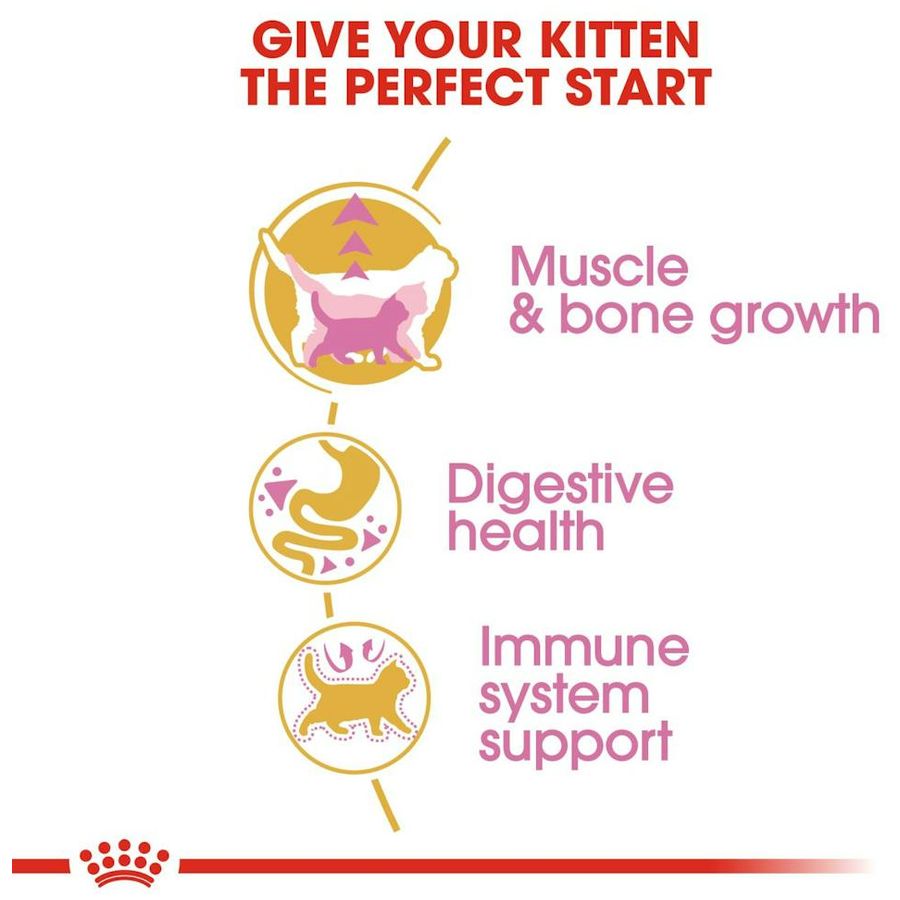 Royal Canin British Shorthair Kitten Dry Food 2kg