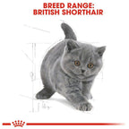 Royal Canin British Shorthair Kitten Dry Food 2kg