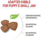 Royal Canin Mini Puppy Dry Food 800g