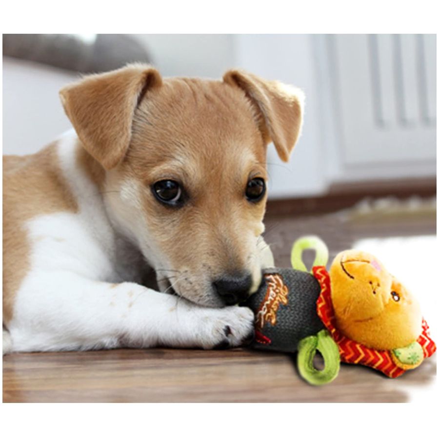 Gigwi Plush Friendz Dog Toy Lion