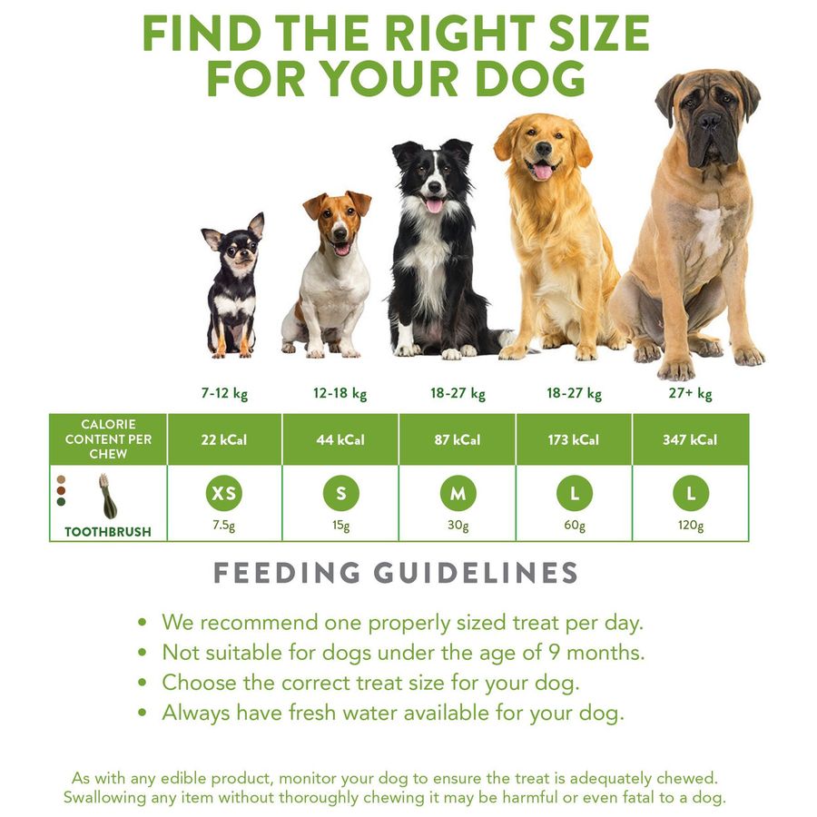 Whimzees Toothbrush XS(48pcs)