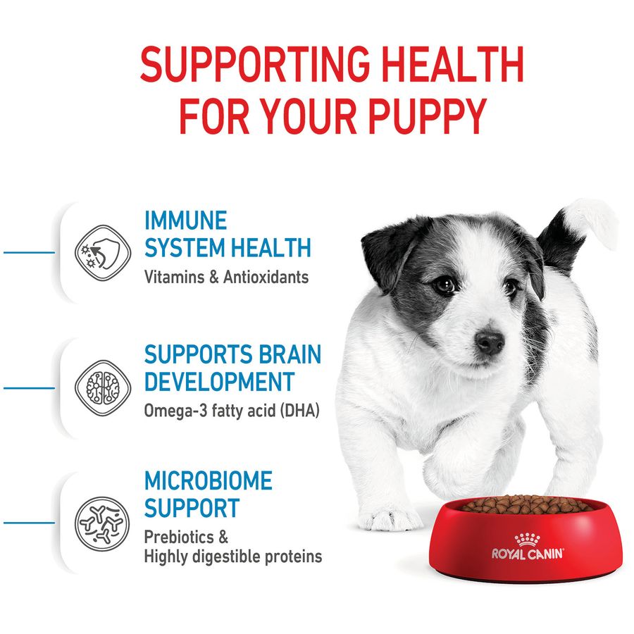 Royal Canin Mini Puppy Dry Food 8kg