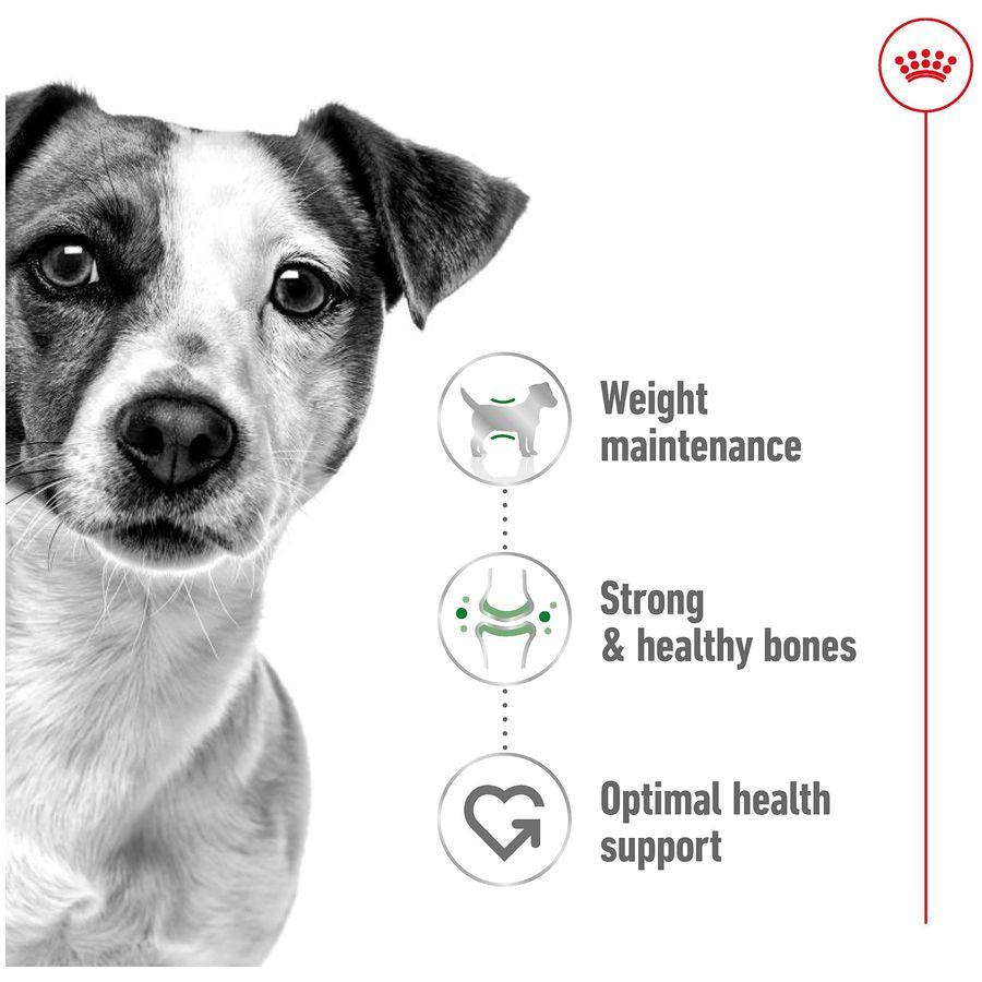 Royal Canin Mini Adult Dog Dry Food 800g