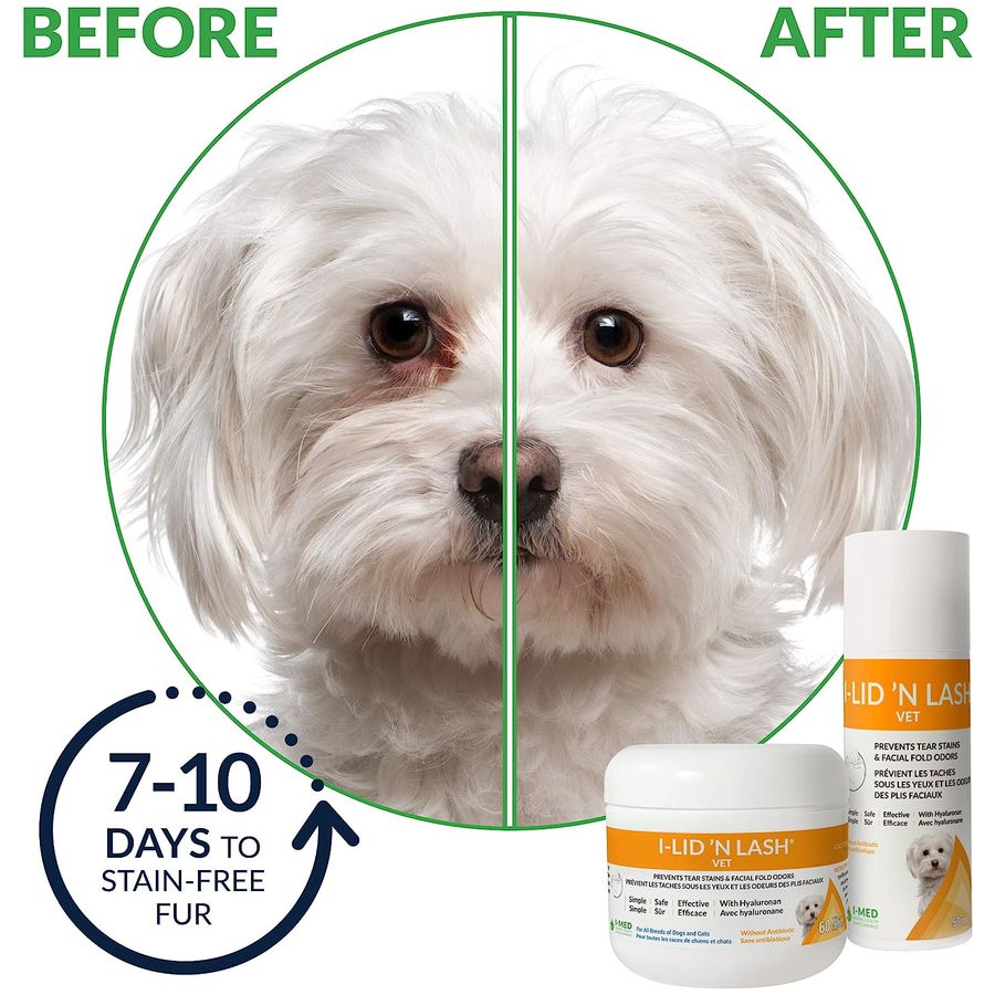 I-Lid N Lash Vet Pump 50ml per bottle