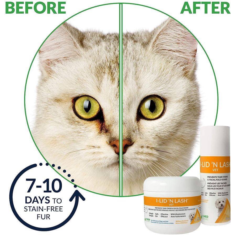 I-Lid N Lash Vet Pump 50ml per bottle