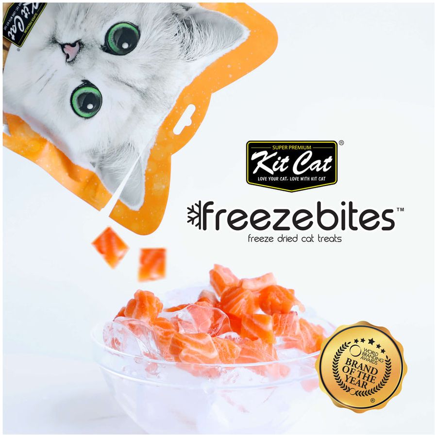Kit Cat Freezebites Dried Salmon 15g