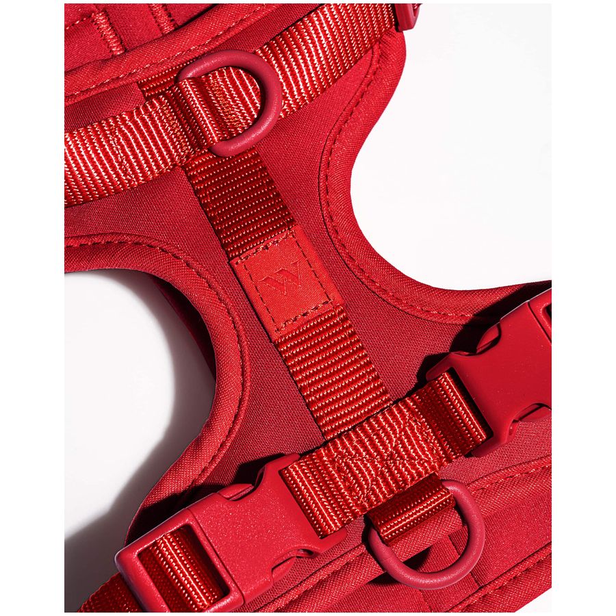 Wild One Harness - XS - Strawberry