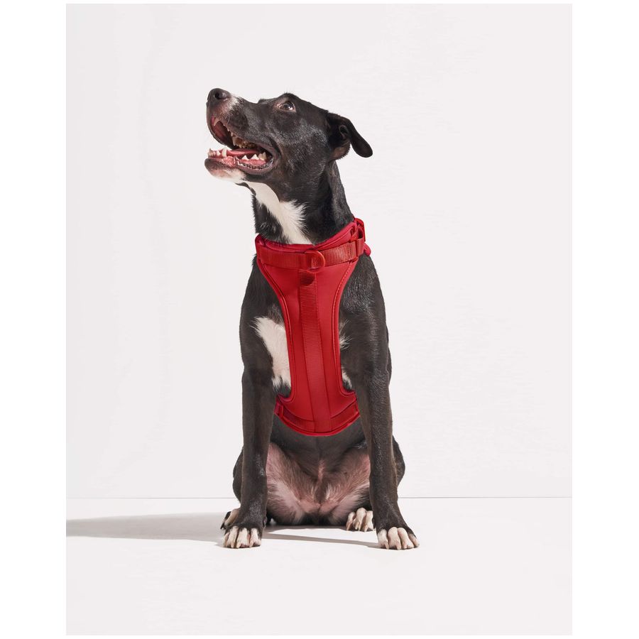 Wild One Harness - XS - Strawberry
