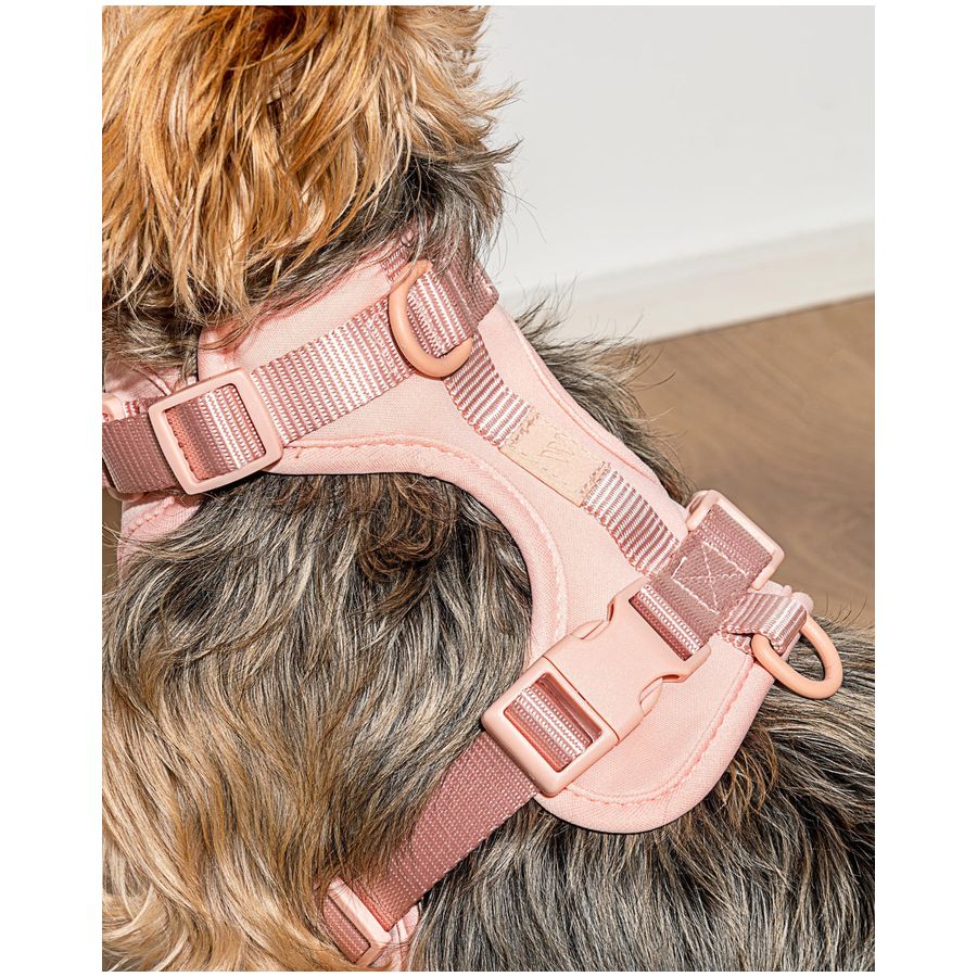Wild One Harness - XS - Pink