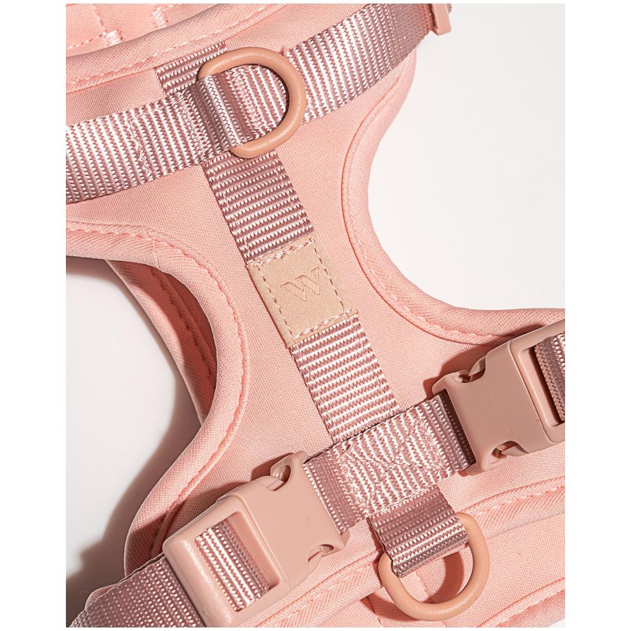 Wild One Harness - S - Pink