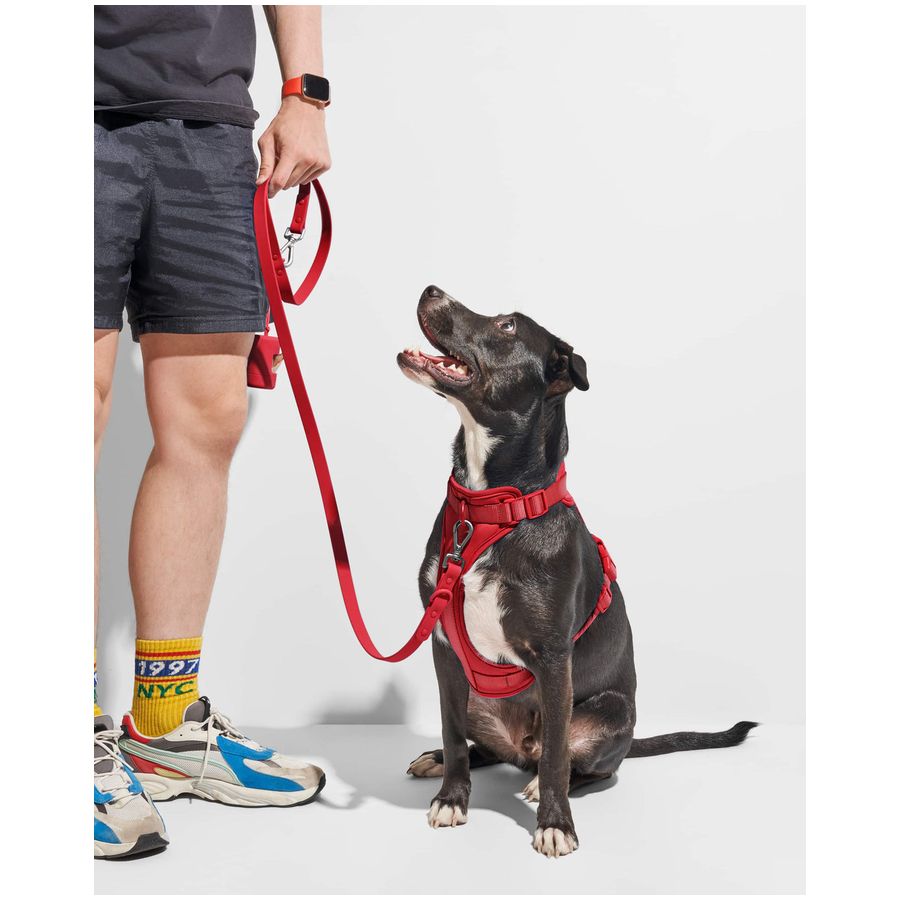 Wild One Leash - Strawberry