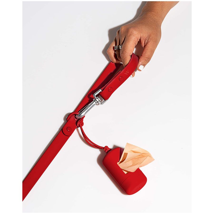 Wild One Leash - Strawberry