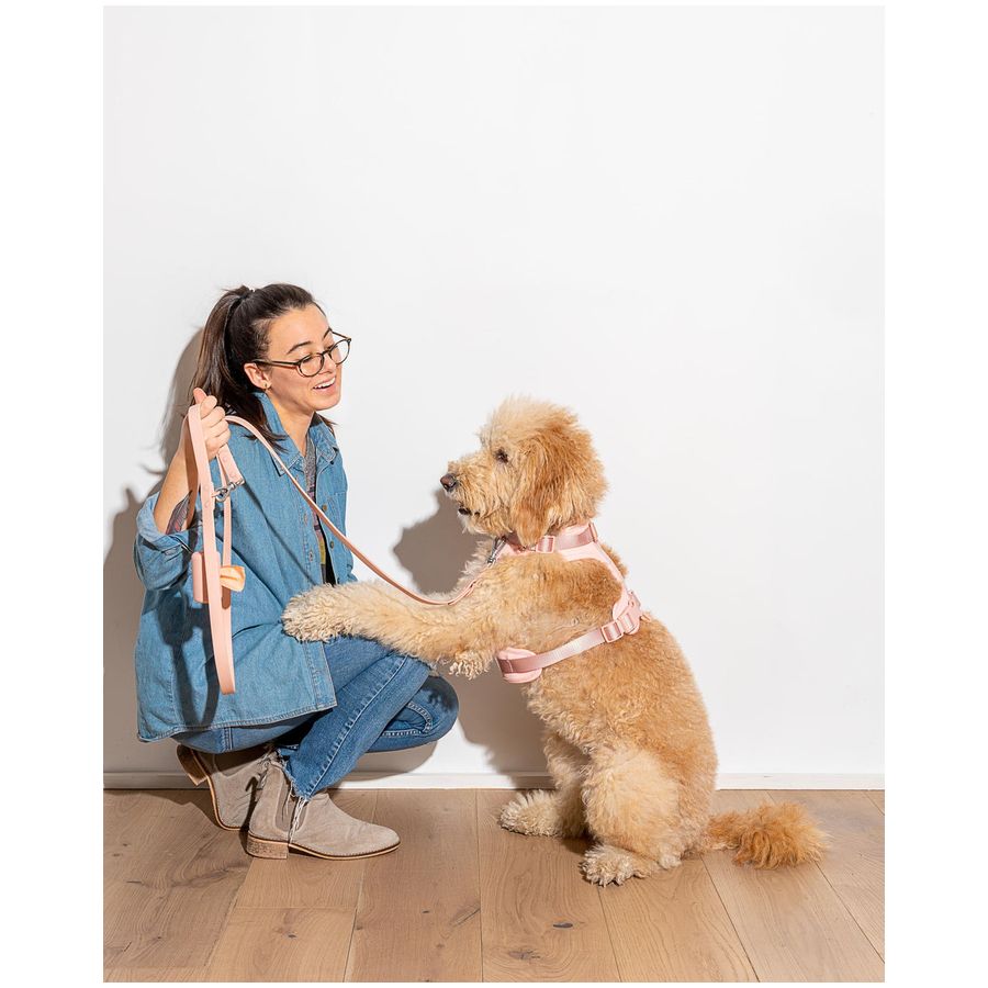 Wild One Leash - Pink