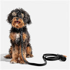Wild One Leash - Black