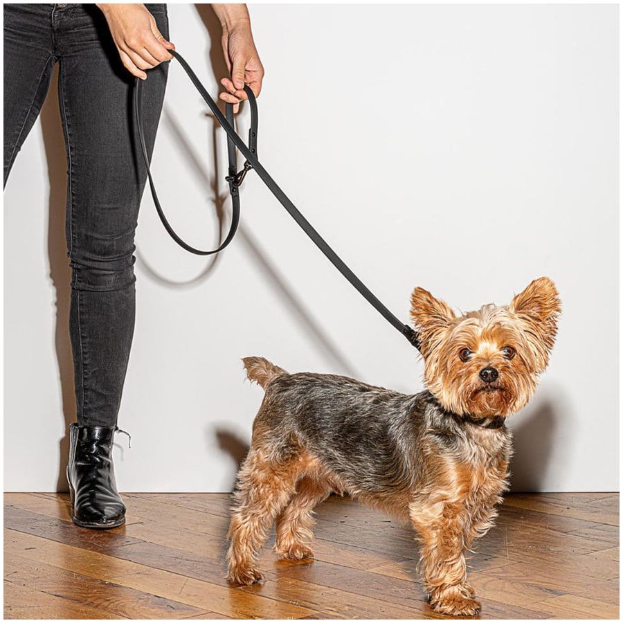 Wild One Leash - Black