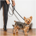 Wild One Leash - Black