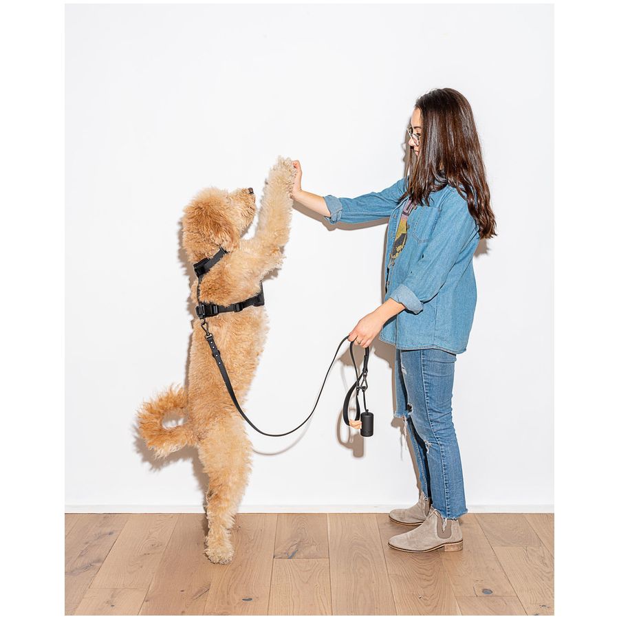 Wild One Poo Bag Carrier - Black