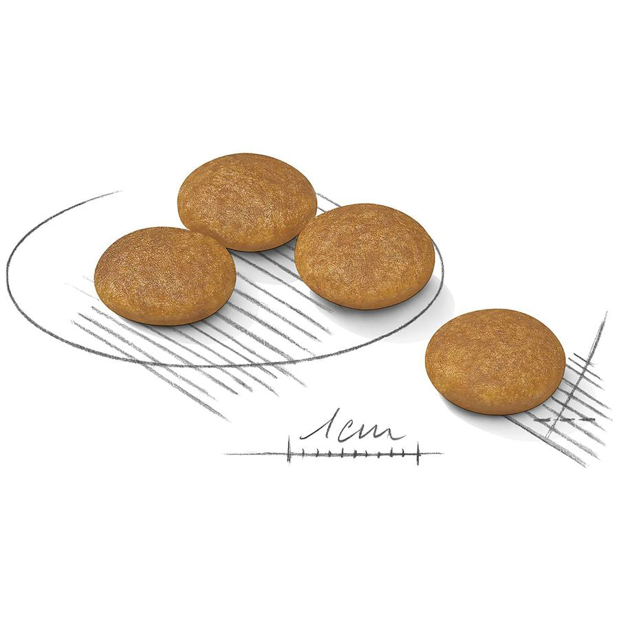 Royal Canin Dermacomfort Mini Dry Dog Food 3kg