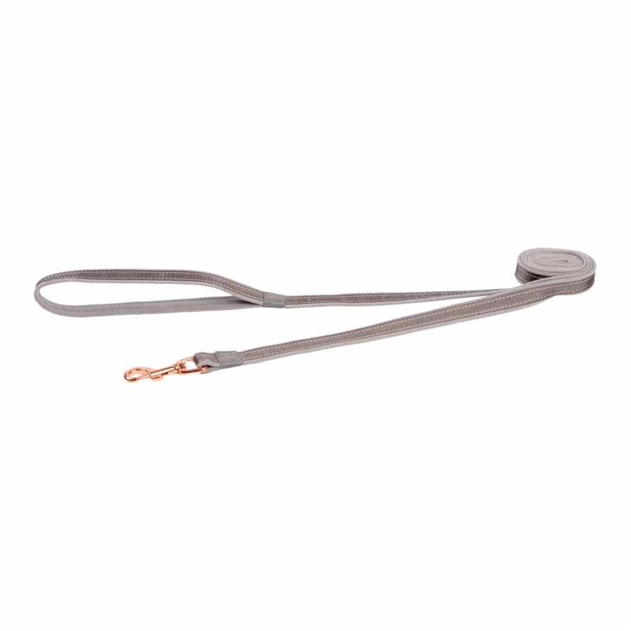 Rogz Urban Classic Lead - Turquoise Moon - M