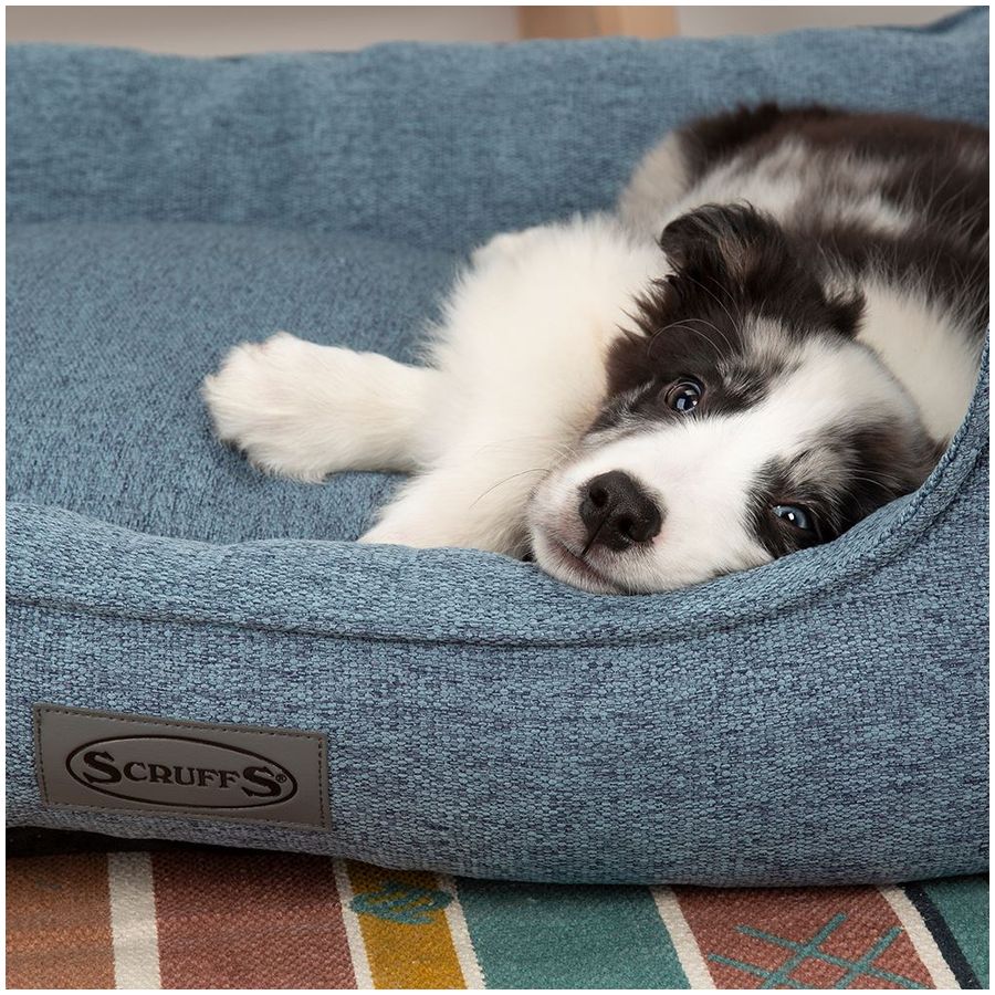 Scruffs Manhattan Box Dog Bed - Large - Denim Blue
