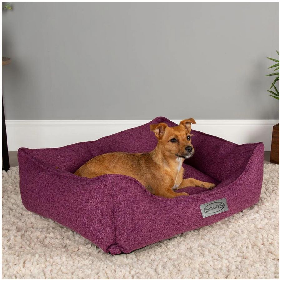 Scruffs Manhattan Box Dog Bed - Medium - Berry Purple