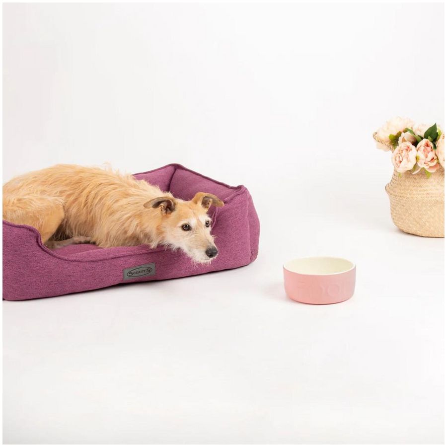Scruffs Manhattan Box Dog Bed - Medium - Berry Purple