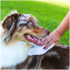 Earthbath Hypoallergenic Grooming Wipes 100pc