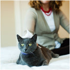 Earthbath Hypoallergenic Cat Wipes 100 pcs