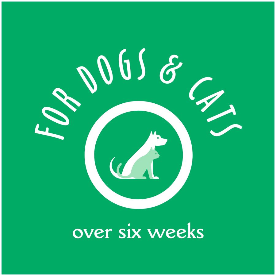 Earthbath Oatmeal & Aloe Fragrance Free Shampoo 16oz